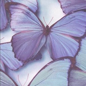 Meet your Posher, Shylin